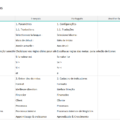 02-Financial-KPI-Dashboard-Template-Translations.png