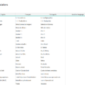 02-Financial-Metrics-Dashboard-Template-Translations.png