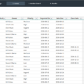 02-Issue-Log-Excel-Template-Issues.png