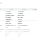 02-Social-Media-Report-Template-Translations.png