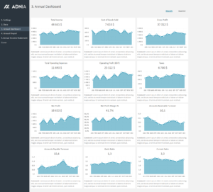 Annual Financial Report Template