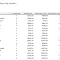 09-Account-Payable-Management-Template-Report-By-Suppliers.jpg