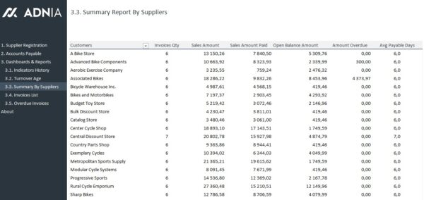 09-Account-Payable-Management-Template-Report-By-Suppliers.jpg